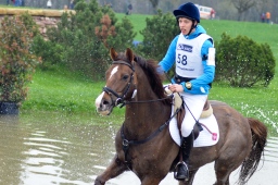 radolfzell-2013_cic1-171-jpg