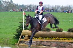 radolfzell-2013_cic1-174-jpg
