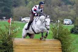 radolfzell-2013_cic1-180-jpg