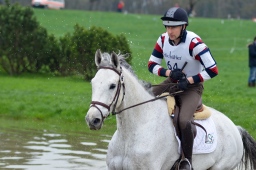radolfzell-2013_cic1-183-jpg