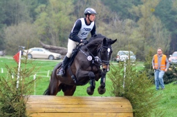 radolfzell-2013_cic1-185-jpg