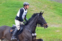 radolfzell-2013_cic1-186-jpg