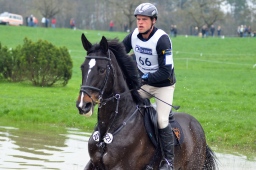 radolfzell-2013_cic1-190-jpg