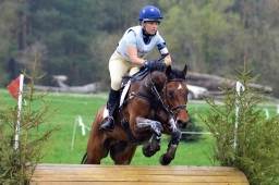 radolfzell-2013_cic1-192-jpg