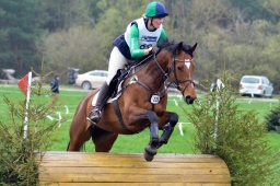 radolfzell-2013_cic1-196-jpg