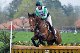 radolfzell-2013_cic1-197-jpg