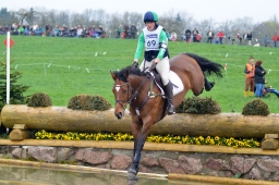 radolfzell-2013_cic1-198-jpg