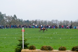 radolfzell-2013_cic1-200-jpg