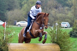 radolfzell-2013_cic1-202-jpg
