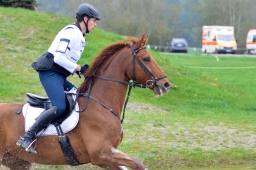 radolfzell-2013_cic1-203-jpg