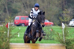 radolfzell-2013_cic1-211-jpg