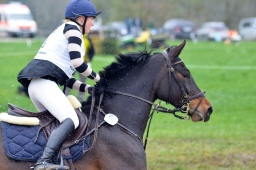 radolfzell-2013_cic1-212-jpg