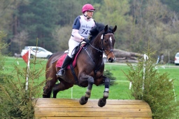 radolfzell-2013_cic1-215-jpg