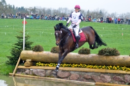 radolfzell-2013_cic1-216-jpg