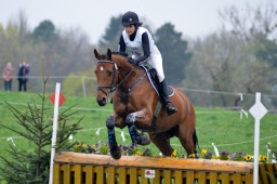 radolfzell-2013_cic1-219-jpg