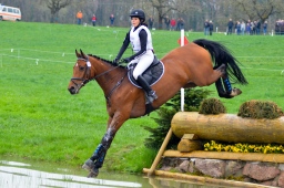 radolfzell-2013_cic1-220-jpg