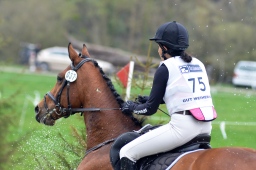 radolfzell-2013_cic1-221-jpg