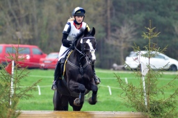 radolfzell-2013_cic1-222-jpg