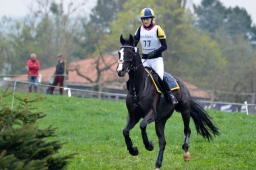 radolfzell-2013_cic1-223-jpg