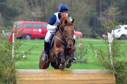radolfzell-2013_cic1-225-jpg