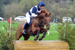 radolfzell-2013_cic1-226-jpg