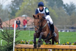 radolfzell-2013_cic1-227-jpg