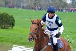 radolfzell-2013_cic1-228-jpg
