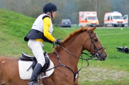 radolfzell-2013_cic1-230-jpg