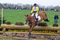 radolfzell-2013_cic1-231-jpg