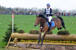 radolfzell-2013_cic1-233-jpg