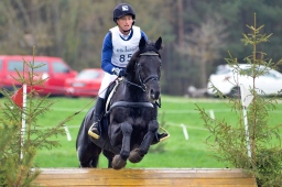 radolfzell-2013_cic1-234-jpg