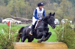 radolfzell-2013_cic1-235-jpg