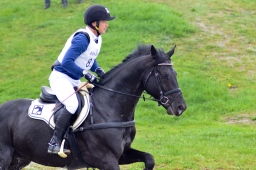 radolfzell-2013_cic1-236-jpg