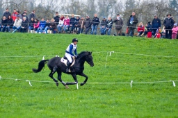 radolfzell-2013_cic1-237-jpg