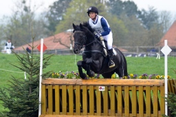 radolfzell-2013_cic1-238-jpg