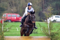 radolfzell-2013_cic1-242-jpg