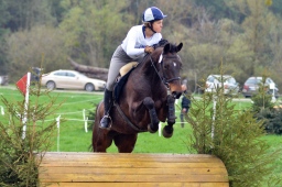 radolfzell-2013_cic1-243-jpg