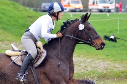 radolfzell-2013_cic1-244-jpg