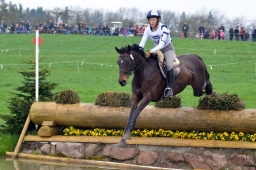 radolfzell-2013_cic1-245-jpg