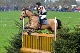 radolfzell-2013_cic1-248-jpg
