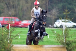 radolfzell-2013_cic1-250-jpg