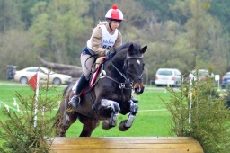 radolfzell-2013_cic1-251-jpg