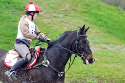 radolfzell-2013_cic1-252-jpg