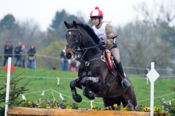 radolfzell-2013_cic1-253-jpg