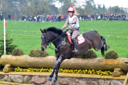 radolfzell-2013_cic1-254-jpg