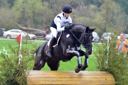 radolfzell-2013_cic1-256-jpg