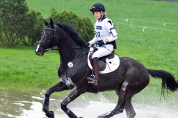 radolfzell-2013_cic1-260-jpg