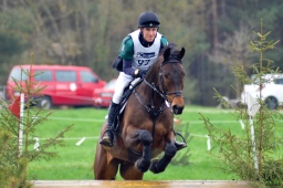 radolfzell-2013_cic1-262-jpg