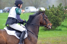 radolfzell-2013_cic1-264-jpg
