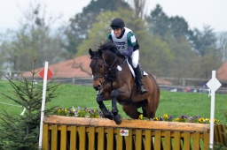radolfzell-2013_cic1-265-jpg